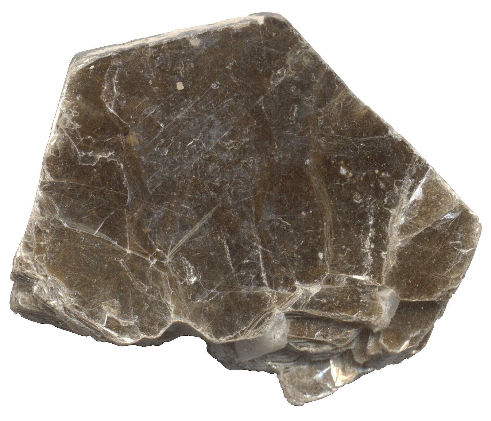 6343__10_a_2Biotitawwwrecursoscnicemec es- bancoimagenes.jpg